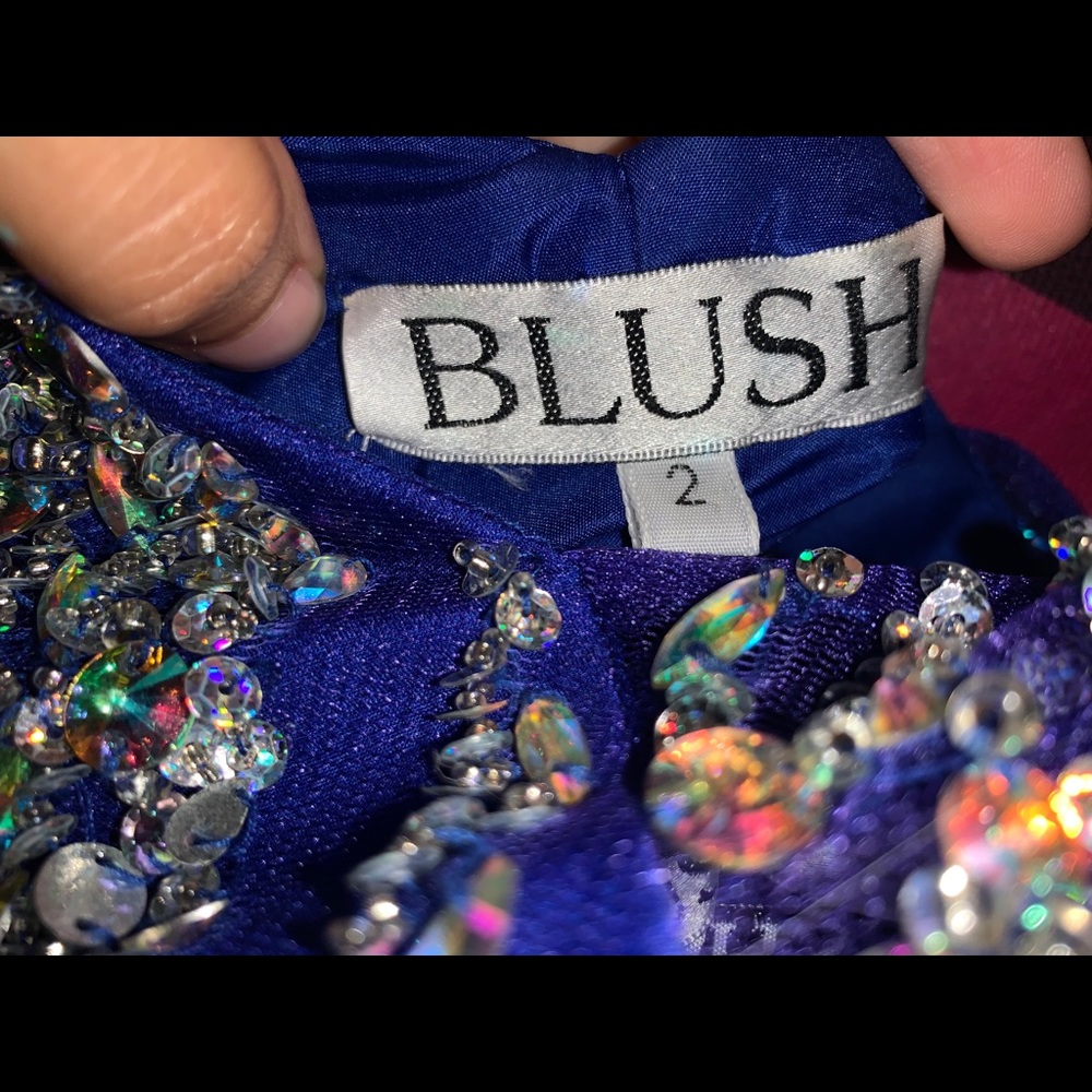 BLUSH - Prom Dress - Picture 9 of 10